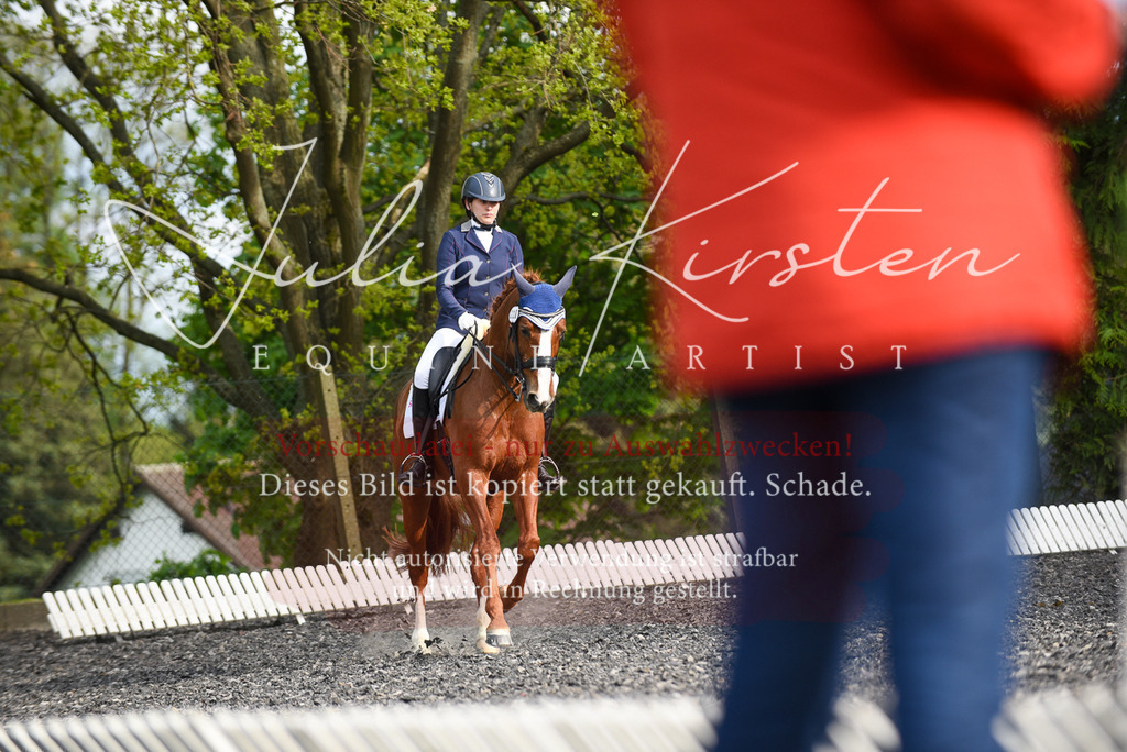 20230513_JK-Röhrsdorf-17-432 | Pferde- und Turnierfotografie in Westsachsen. Pferdeportraits, Auftragszeichnungen und intuitive Kunst.