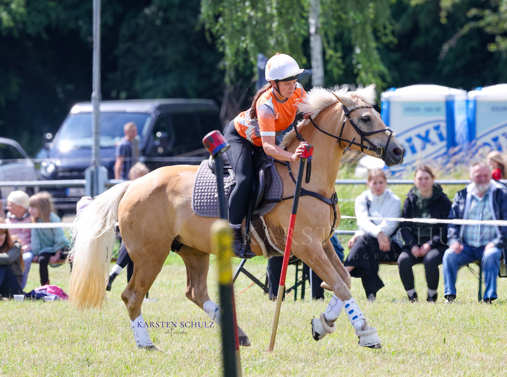 1B3A4164 | Reitsport Reiten