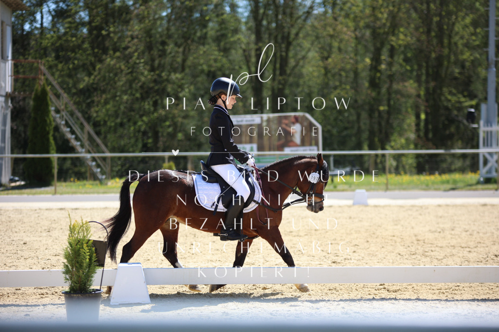 IMGT0849 | pl-fotografie