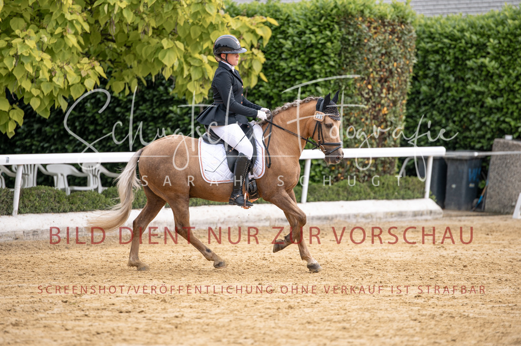 Schugtsche-Aluta25-40.DressurprfA_-369 | Schugtsche Fotografie - Realisiert mit Pictrs.com