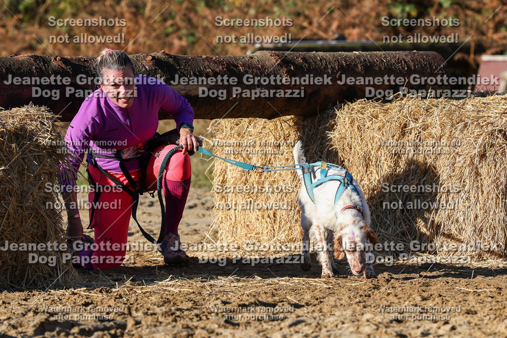 Dog Paparazzi - Strongdog 10-25-1576 | Dog Paparazzi Jeanette Grottendiek Fotografie & Videografie - Realisiert mit Pictrs.com