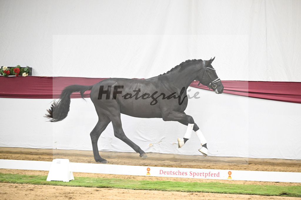 Kat-Nr. 39 Secret x Finest_Ignaz Berger_47251372 | hf-fotografie - Realisiert mit Pictrs.com