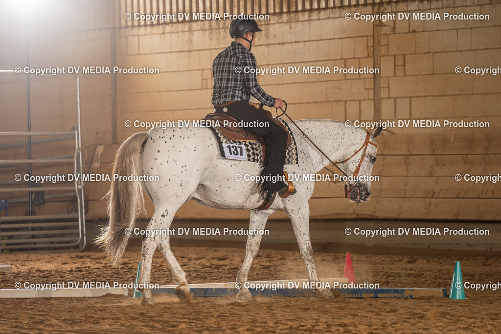 NID02477 | dv-media-shop - Realisiert mit Pictrs.com