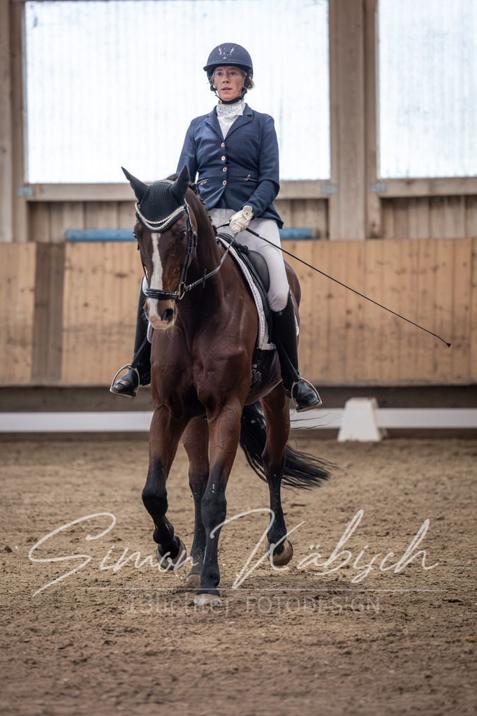 20251011-_3LI1645 | Tierfotografie Pferde, Hunde, Katzen, Haustiere.
Turnierfotografie Reitturniere, Reiten, Springreiten, Dressur in Hanau, dem Main-Kinzig-Kreis und dem Rhein-Main- Gebiet um Frankfurt