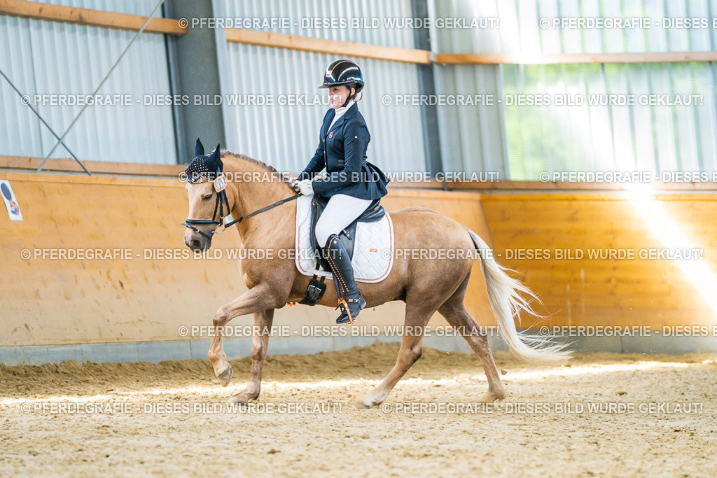 DSC07665 | Pferdegrafie