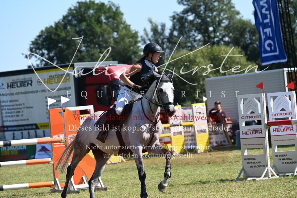 DSC_6356 | Pferde- und Turnierfotografie in Westsachsen. Pferdeportraits, Auftragszeichnungen und intuitive Kunst.