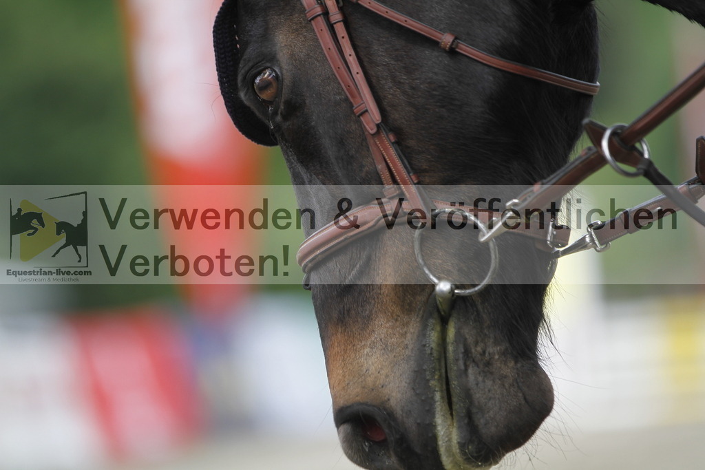 _MG_4545 | equestrian-live-com