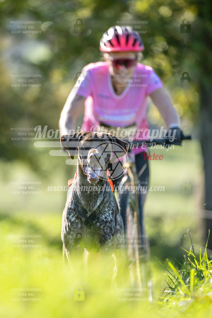 MompixPhotography_20TSB_E3_DS1-22 | PayLife