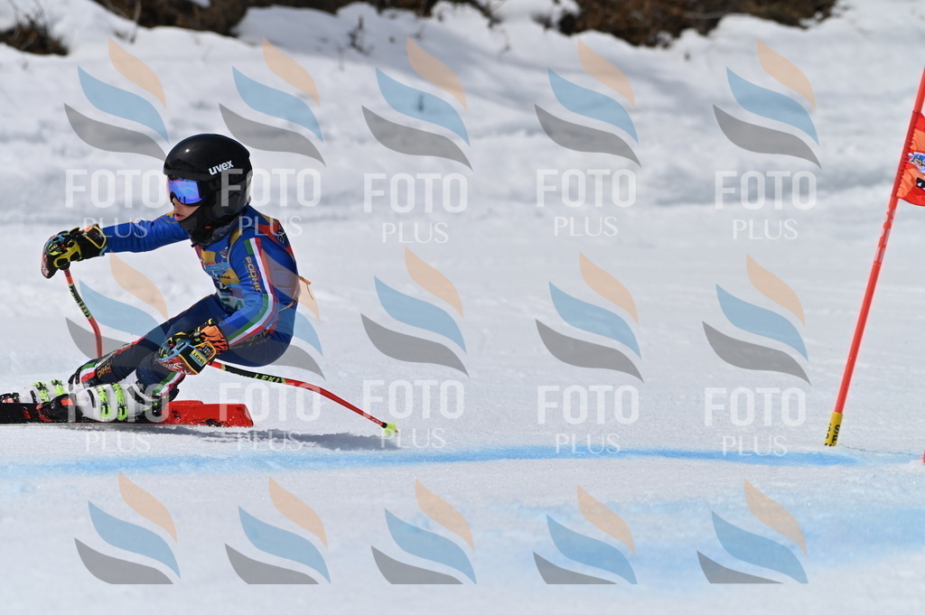 BGV_6992 | holidayphoto