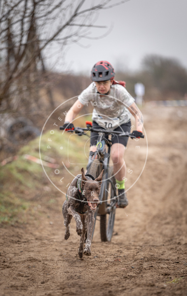 DV3A8922 | Hundefotografie, Tierfotograf, Pfotenfotografie, Fotoshooting Hund, Hunde Portrait, Hundesport, Hundeportraits, Heideshooting, Hunde, Sportfotograf, Hundefotograf, Turnierhundsport, THS,  - Realisiert mit Pictrs.com