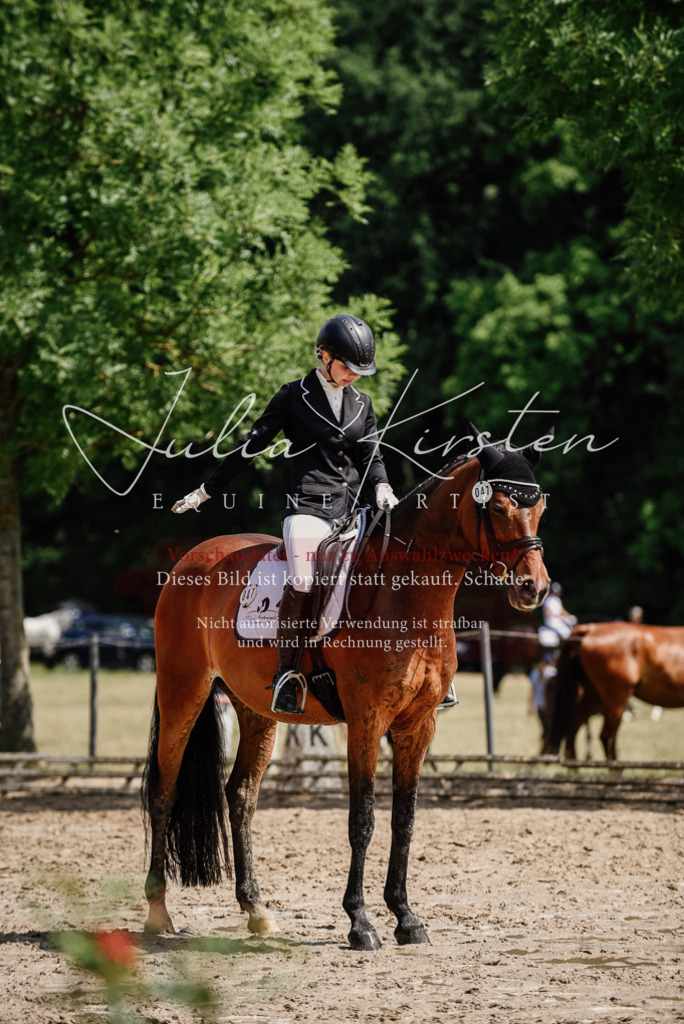 DSC_0954 | Pferde- und Turnierfotografie in Westsachsen. Pferdeportraits, Auftragszeichnungen und intuitive Kunst.