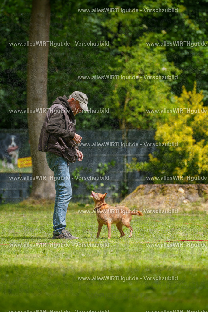 @allesWIRTHgut_Tierfotografie - www.allesWIRTHgut.de - 121836-7R508861 | Professionelle Tierfotografie in Mönchengladbach von Daniel Wirth (allesWIRTHgut). Liebevolle & natürliche Bilder von Hunden & Katzen für unvergessliche Erinnerungen.