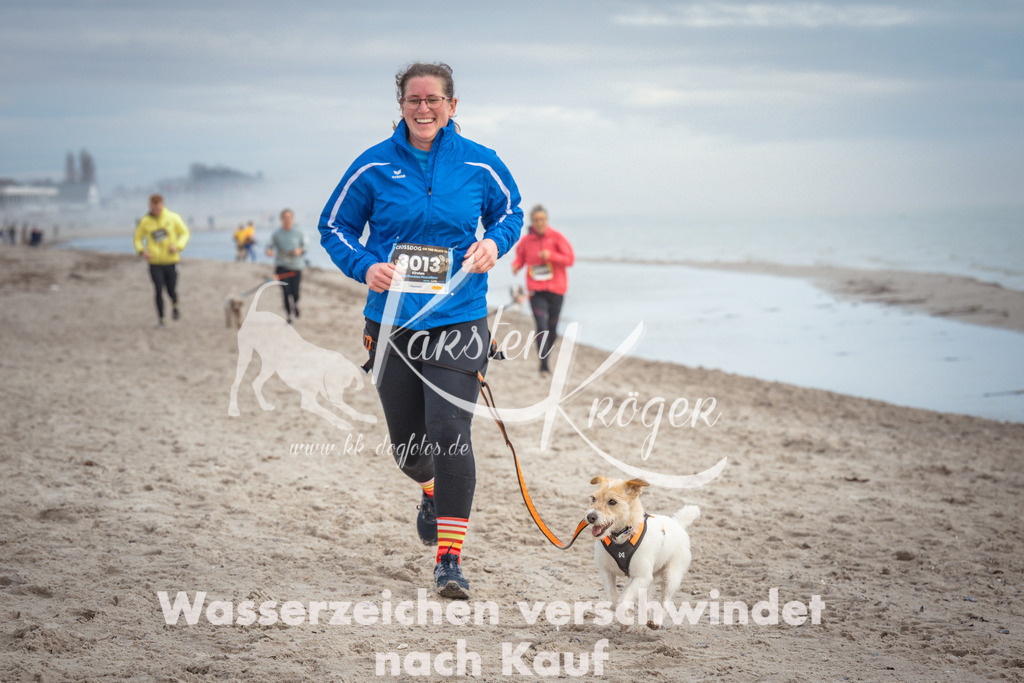 1146_ZZ90889 | kk-dogfotos