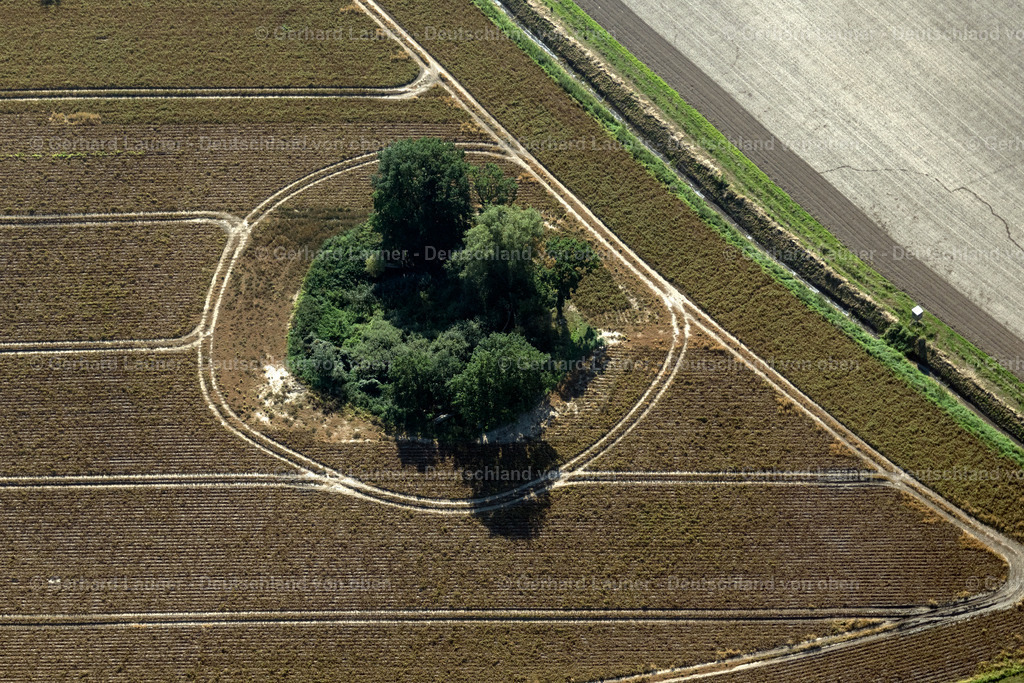 4061099 | LOISSIN 08.09.2021 Baum- Insel auf einem Getreidefeld in Loissin im Bundesland Mecklenburg-Vorpommern, Deutschland. // Island of trees in a grain field in Loissin in the state Mecklenburg - Western Pomerania, Germany. Foto: Gerhard Launer