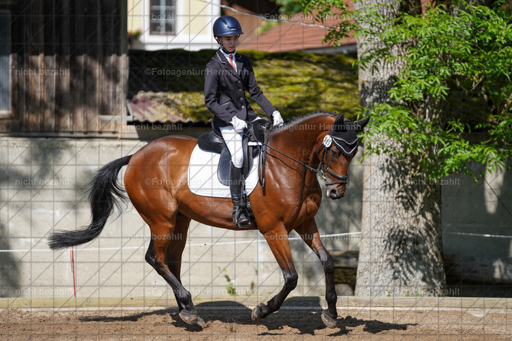 20240519-FAH04730 | Turnierbilder Niederseeon 2024, Vielseitigkeitsdressur, Reitsportbilder aus dem Landkreit Ebersberg, Gut Steinsee, RC Steinsee, Fotoagentur Herrmann