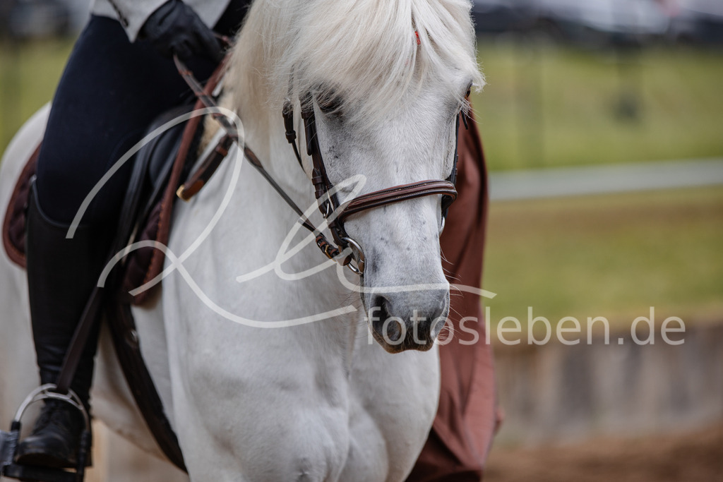 846A0348 | fotosleben - Realisiert mit Pictrs.com