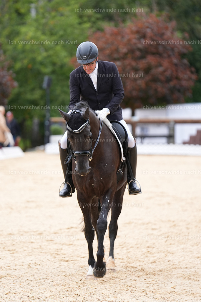 3-156-Dressur M_-Marixx-1906 | working equitationturnier fotograf videograf stoibphotography marixx film working equitation deutschland reitsport turnierfotografie eventfotografie equestrian events