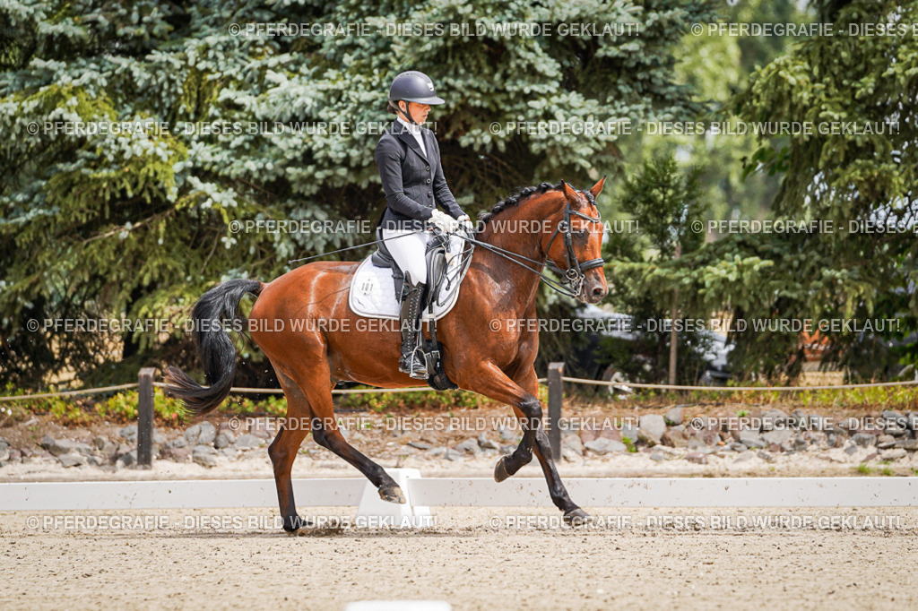 DSC03640 | Pferdegrafie