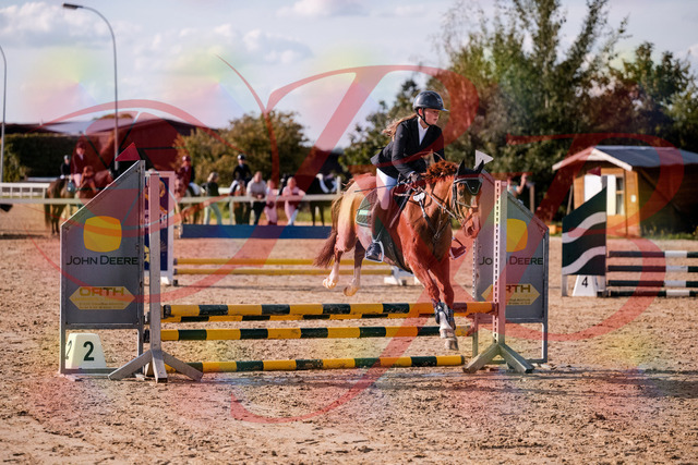 2026_10_03_Siefer-Hof_155750_Z81_77431809 | Professionelle Reitsport-, Turnier- und Eventfotografie von Robert Broda. Galerien mit ausgewählten und bearbeiteten Bildern direkt online ansehen und bestellen.