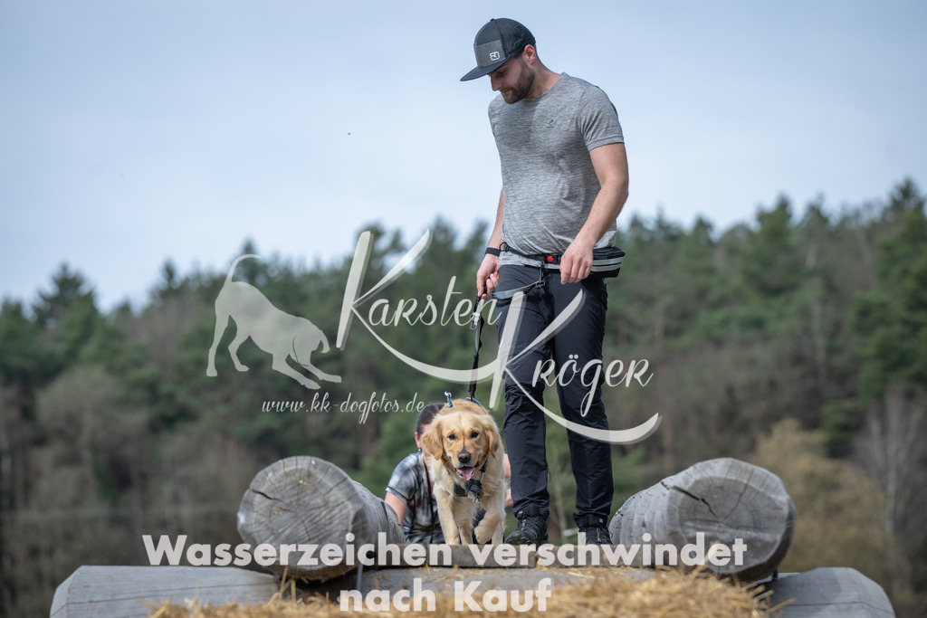 1109_ZZ96299 | kk-dogfotos