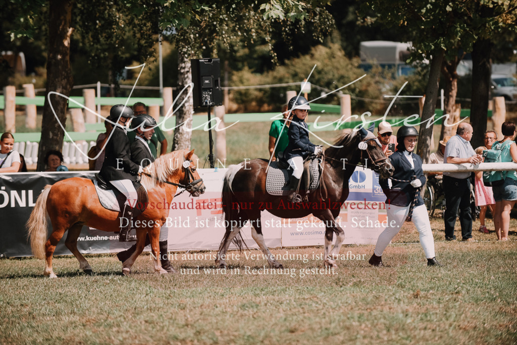 DSC_6031 | Pferde- und Turnierfotografie in Westsachsen. Pferdeportraits, Auftragszeichnungen und intuitive Kunst.