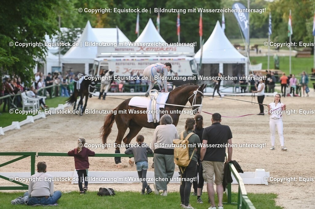 D78_3374 | equistock