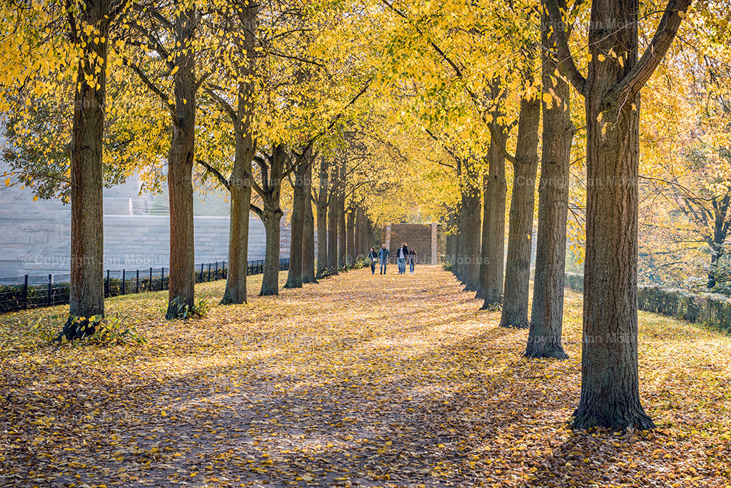 _DSC7988 | Leipzig Wandbilder Drucke Prints Leinwand Stadtmotive Leipzig Fotosdruck Kunstdrucke Bilder Leipzig Stadtansichten Acrylglasbilder Leipzig Wanddeko Fine Art Prints Wandbilder Büro Leipzig Bilder Praxis Zuhause Bilderdruck Poster Posterlounge Kunstdrucke - Realisiert mit Pictrs.com