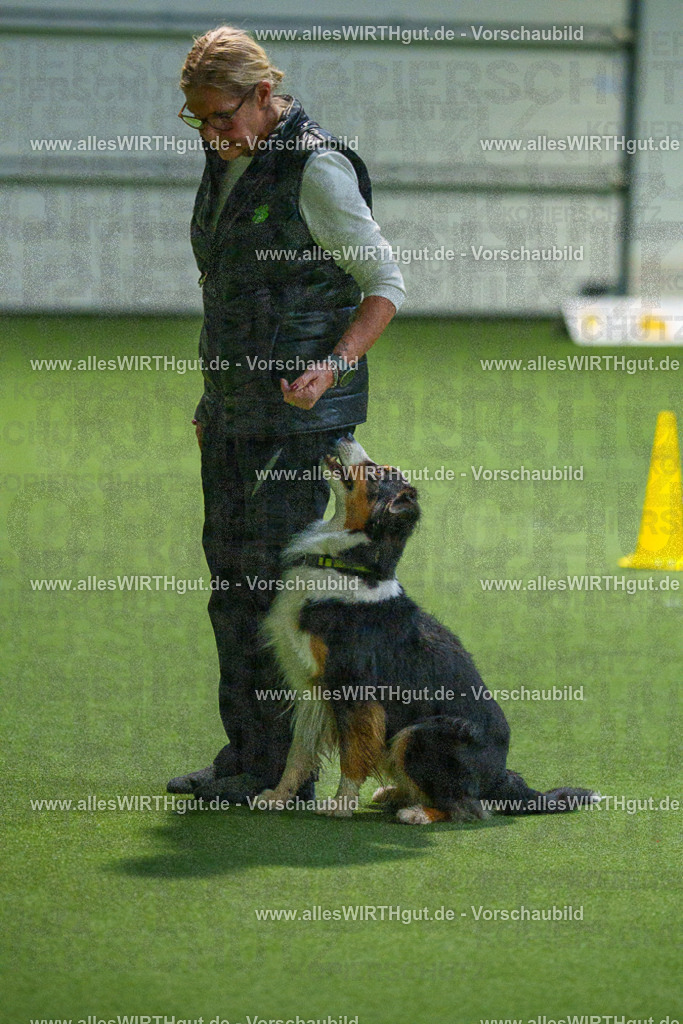 7R507654 | Professionelle Tierfotografie in Mönchengladbach von Daniel Wirth (allesWIRTHgut). Liebevolle & natürliche Bilder von Hunden & Katzen für unvergessliche Erinnerungen.