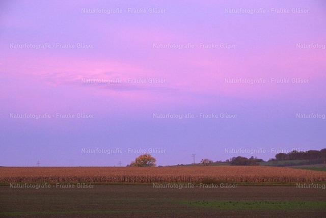 Oktober | Naturfotografie Frauke Gläser - Realisiert mit Pictrs.com