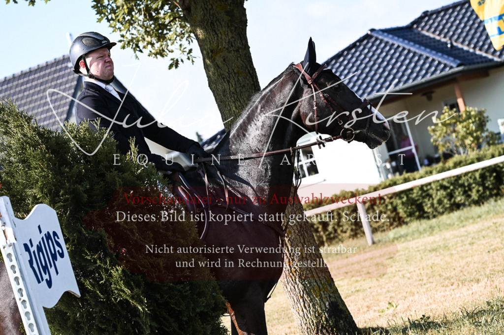 DSC_7513 | Pferde- und Turnierfotografie in Westsachsen. Pferdeportraits, Auftragszeichnungen und intuitive Kunst.