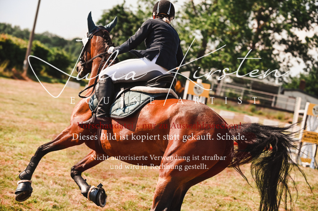 DSC_7363 | Pferde- und Turnierfotografie in Westsachsen. Pferdeportraits, Auftragszeichnungen und intuitive Kunst.