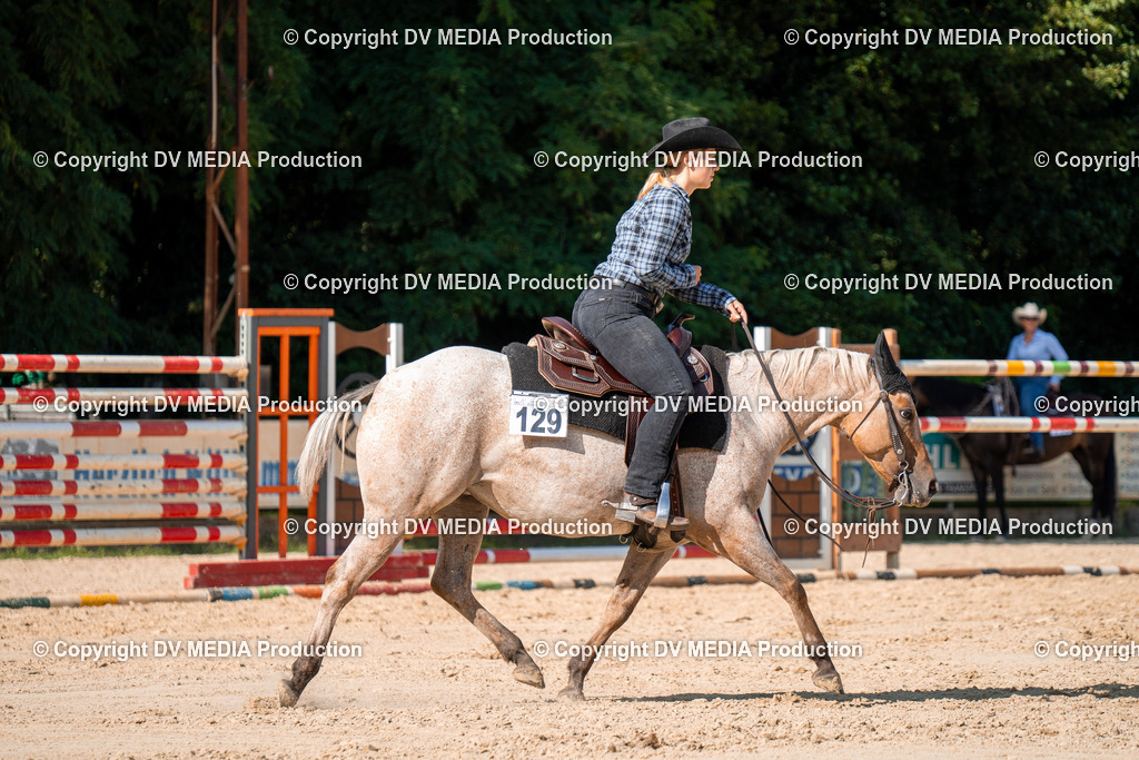 ZH100738 | dv-media-shop - Realisiert mit Pictrs.com