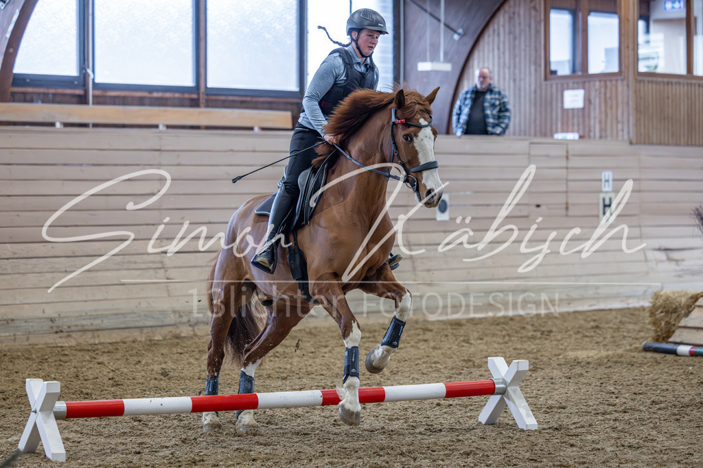 20260221-_3LI9966 | Tierfotografie Pferde, Hunde, Katzen, Haustiere.
Turnierfotografie Reitturniere, Reiten, Springreiten, Dressur in Hanau, dem Main-Kinzig-Kreis und dem Rhein-Main- Gebiet um Frankfurt