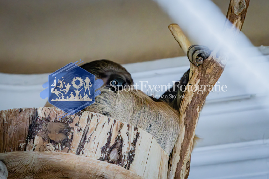 IMG_6746 | SportEventFotografie - Roman Stoiber