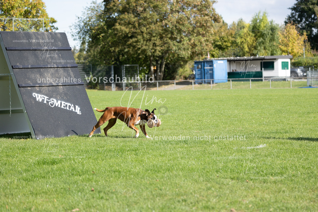 _16A6984 | Einzigartige Fotos von Hunden & Menschen –Actionfotos, Portraits, Vereinsaufnahmen & Paarshootings – authentisch, lebendig & mit Herz.