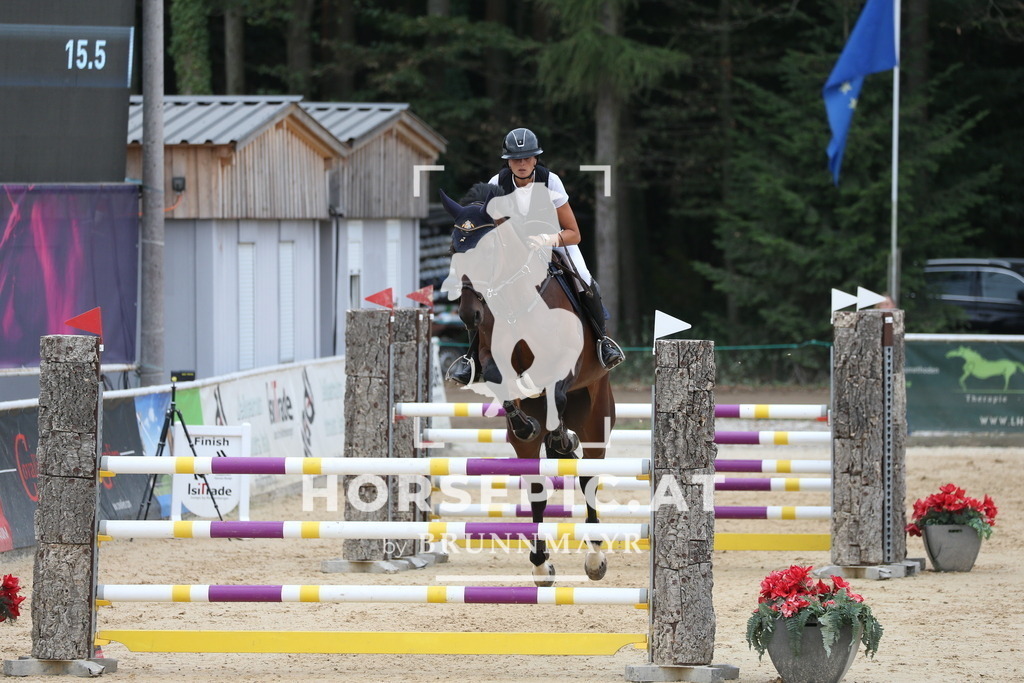 PP017565 | Willkommen bei Brunnmayr - Design & Fotografie – Ihrem Spezialisten für Reitturniere und Pferdeveranstaltungen in Oberösterreich, Salzburg und Bayern! Seit über 17 Jahren sind wir leidenschaftlich dabei.