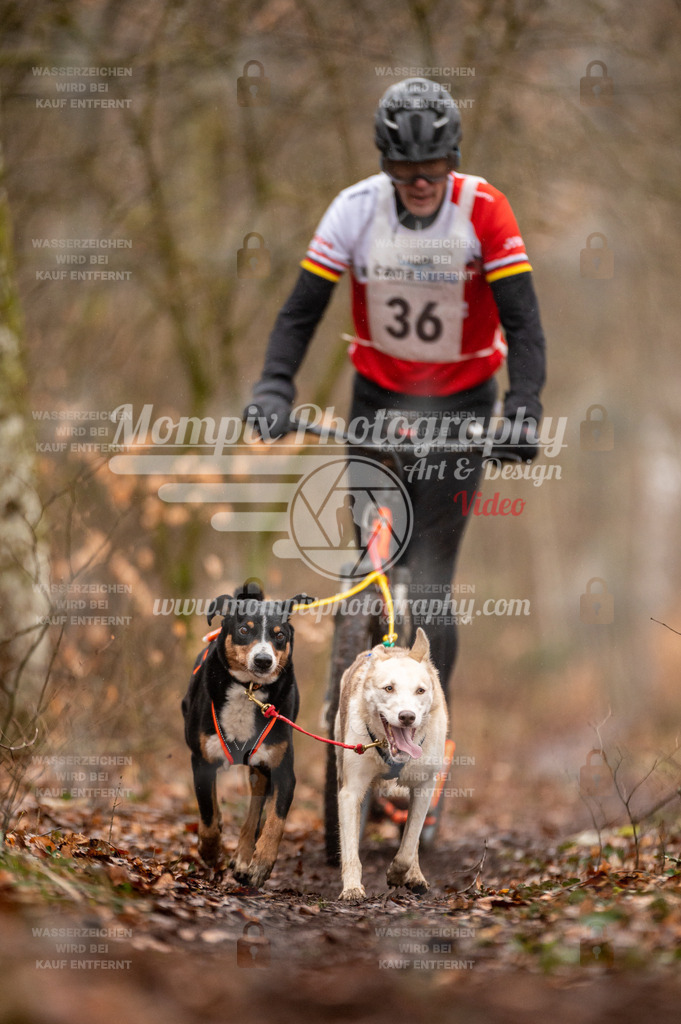 Reiat2023_SON_DS2_5km_2H-31 | PayLife