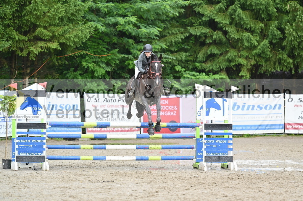 DSC_5203 | equestrian-live-com