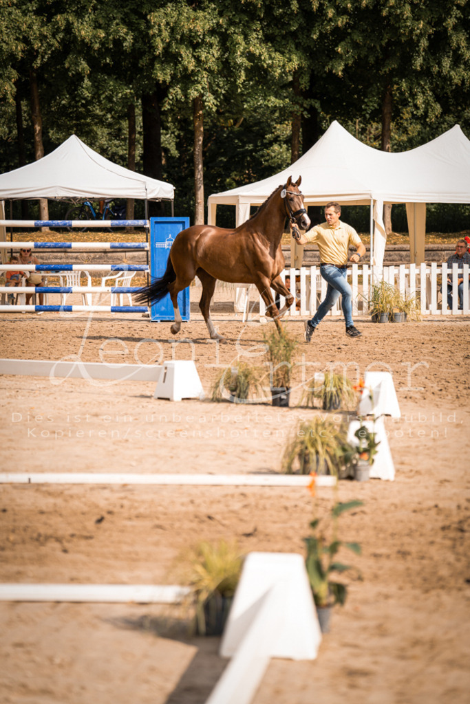 FrER00130 | Leoni Ertmer Photography - Realisiert mit Pictrs.com