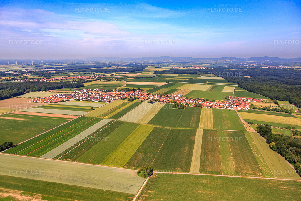 Luftbild: Ortsansicht von Osten im Ortsteil Hayna in Herxheim im Bundesland Rheinland-Pfalz in Deutschland. Foto: IMG_081021.jpg vom 14.06.2015 durch Werner Riehm/FLY-FOTO.de