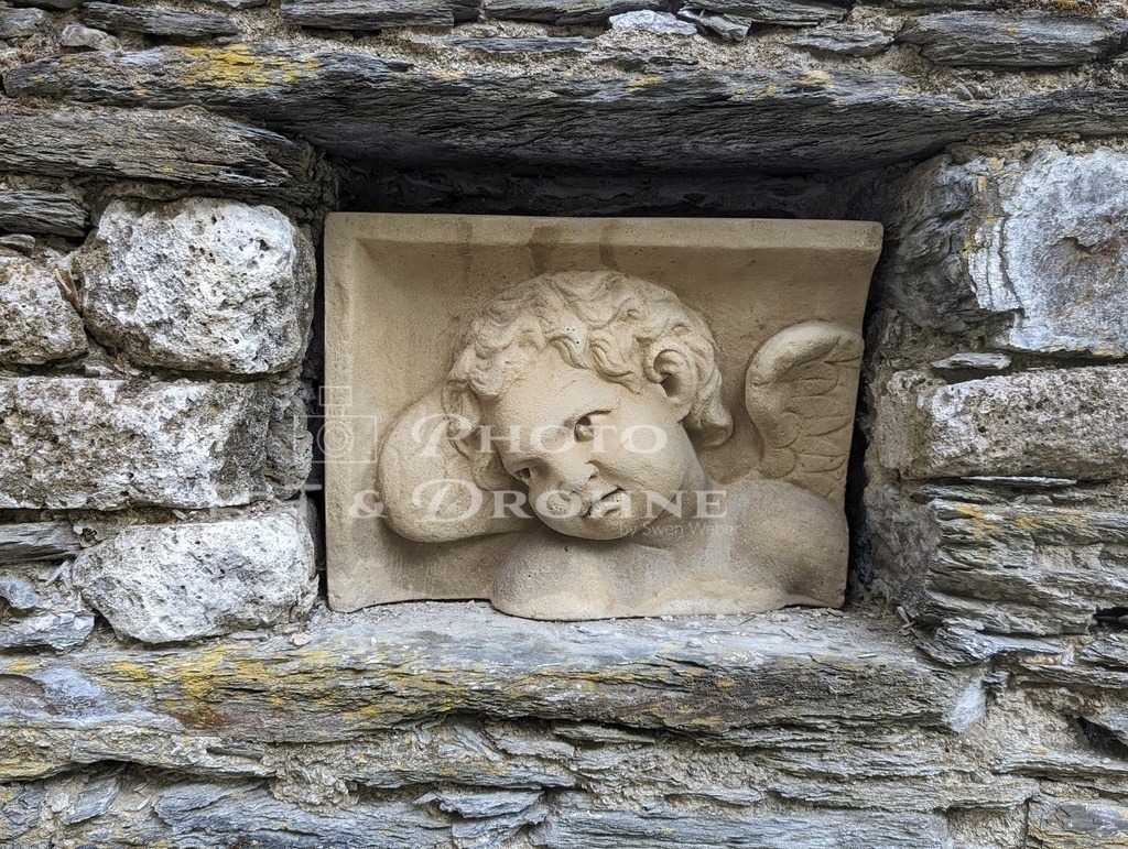 PXL_20230702_153954446.PORTRAIT.ORIGINAL | Erleben Sie den Zauber des Mittelrheins und entdecken Sie die atemberaubende Auswahl an Fotos und Bildern bei Rheinfotos. Wir bieten eine vielfältige Auswahl an Produkten wie Poster, Karten, Sticker, Textilien und Geschenkartikeln und Fototouren. - Realisiert mit Pictrs.com