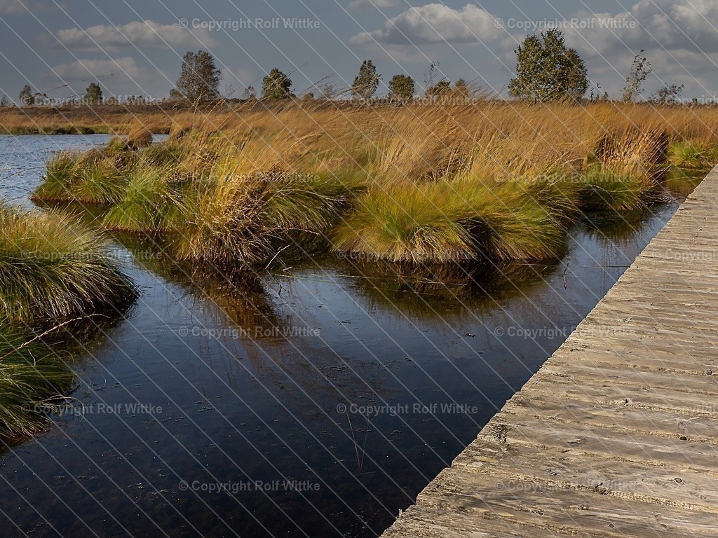 hohes venn2 | Rolf Wittke  - Realisiert mit Pictrs.com