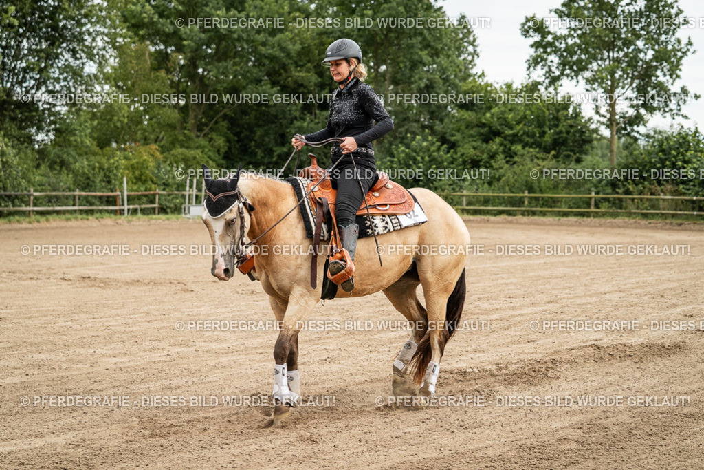 DSC04782 | Pferdegrafie