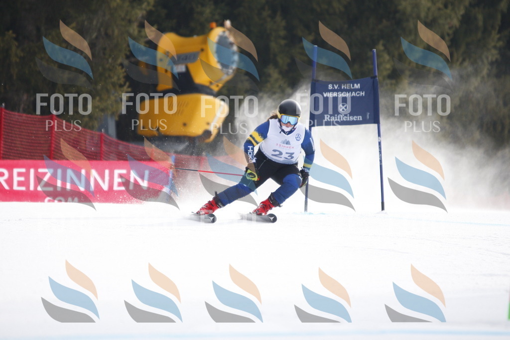 D4906 | holidayphoto