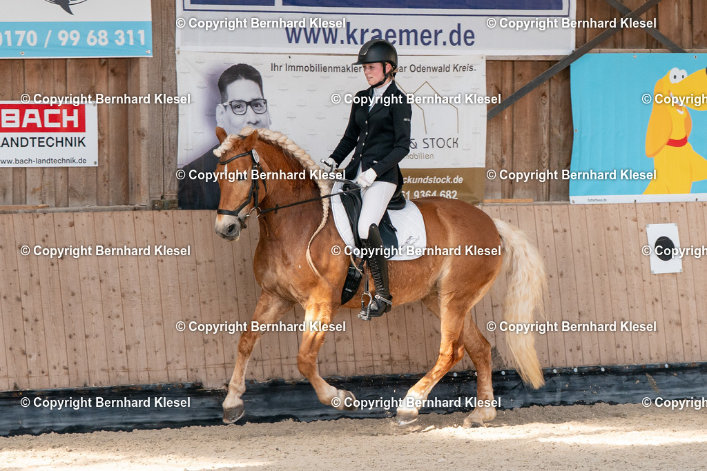 2A903244 | foto-team-bernhard - Realisiert mit Pictrs.com