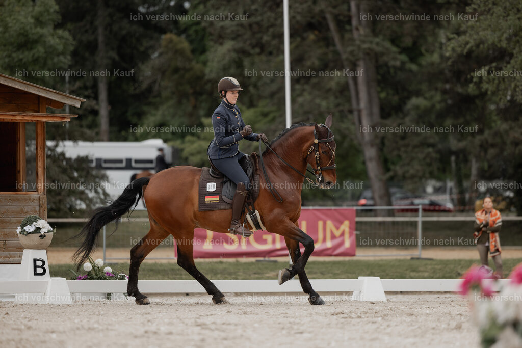 WE_DR_Stoib_340_ _PI2025_122 | Pferd International München 2025