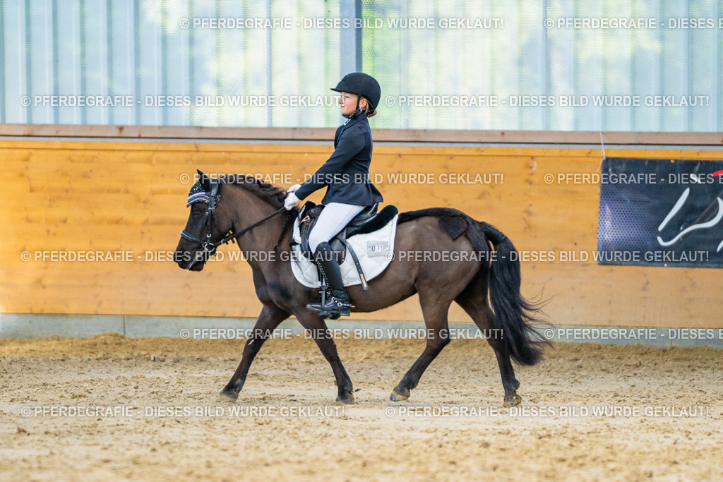 DSC06709 | Pferdegrafie