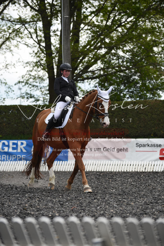 20230513_JK-Röhrsdorf-16-138 | Pferde- und Turnierfotografie in Westsachsen. Pferdeportraits, Auftragszeichnungen und intuitive Kunst.