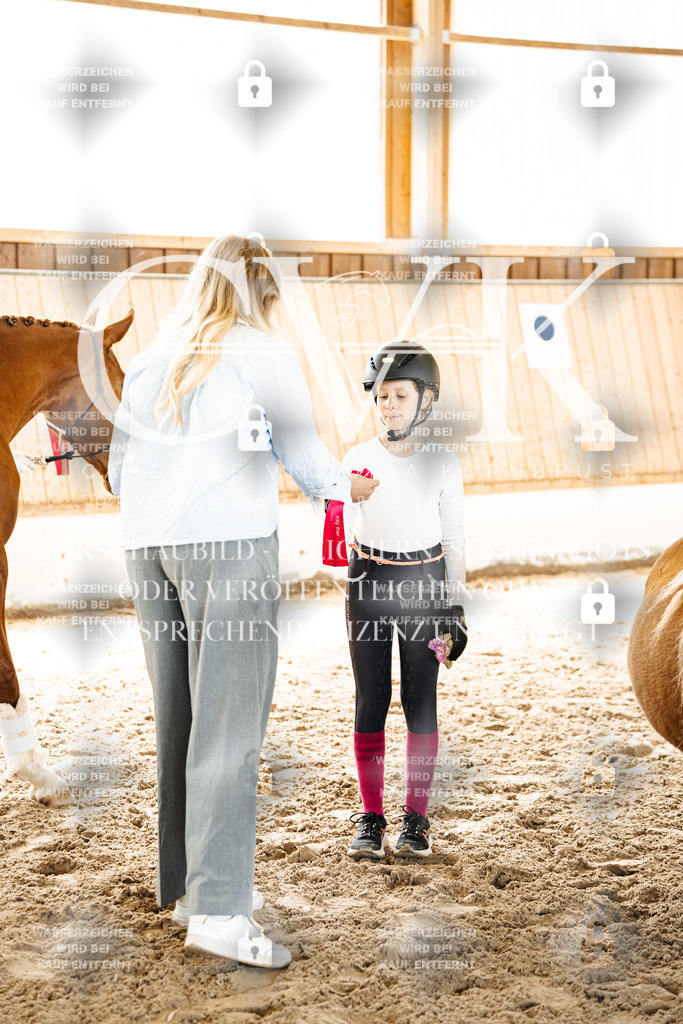 CK703234 | Turnierfotografie Pferdefotografie Trier Rheinland-Pfalz Pferdesport Reitsport Tierfotografie Sportfotografie Pferdevideo Pferdevideografie Equestrianvideography equestrianphotography  - Realized with Pictrs.com