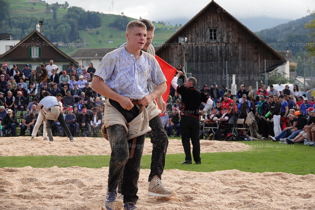 DSC02034 | Schwingen - Realisiert mit Pictrs.com
